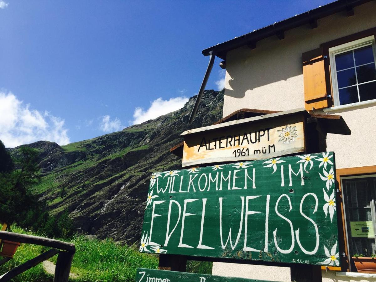 Edelweiss Mountain - 1 Hour Hike Up From Station - On Hiking Trail - No Transport * Zermatt