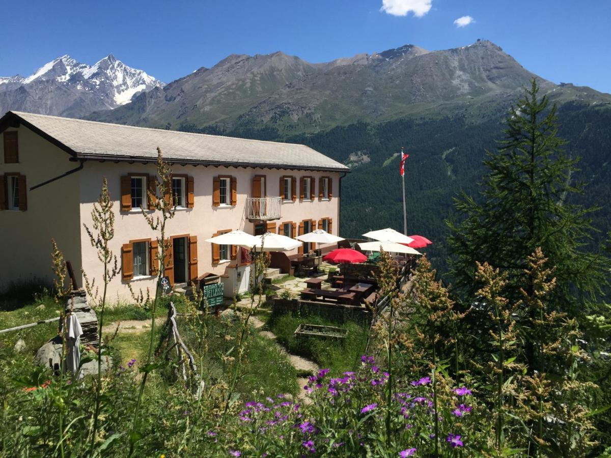 Edelweiss Mountain - 1 Hour Hike Up From Station - On Hiking Trail - No Transport Chata