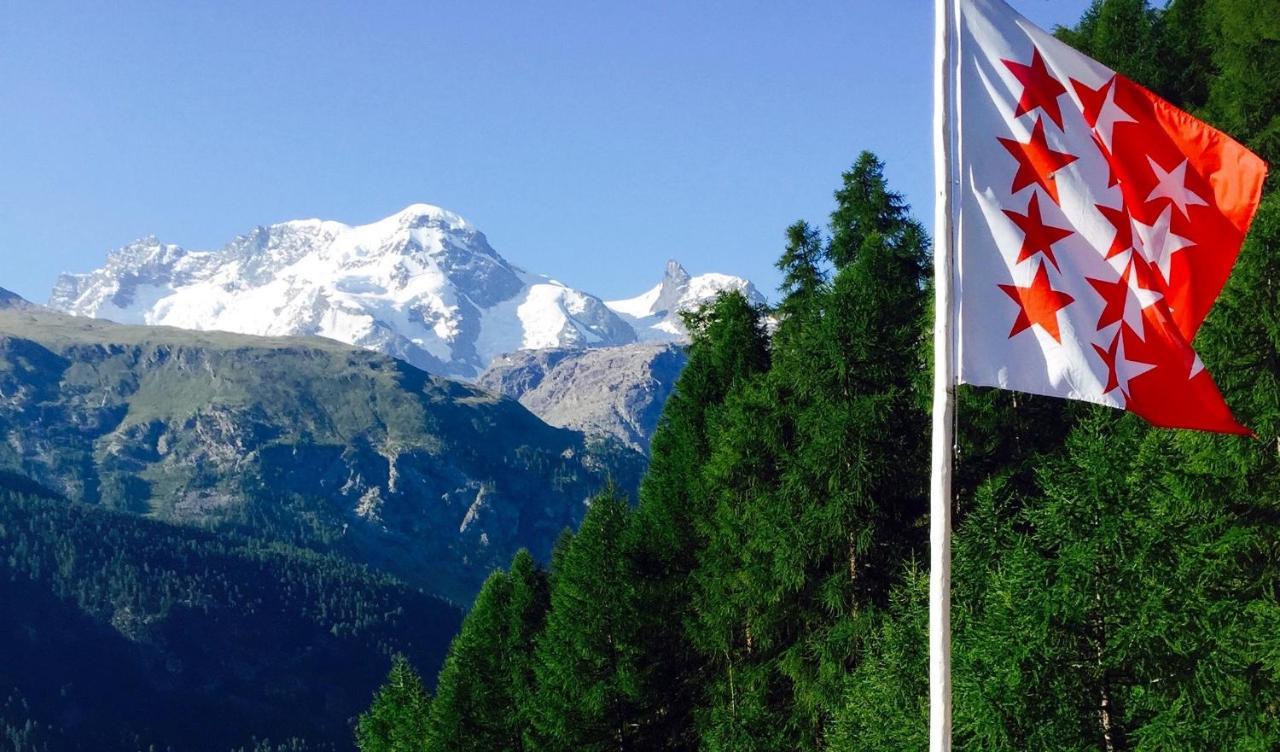 Edelweiss Mountain - 1 Hour Hike Up From Station - On Hiking Trail - No Transport
