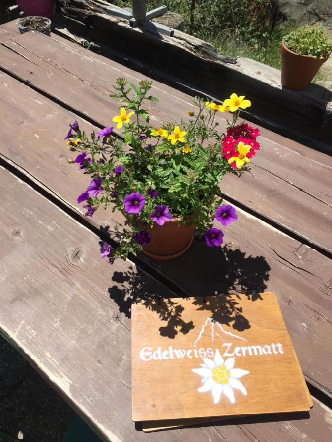 Lodge Edelweiss Mountain - 1 Hour Hike Up From Station - On Hiking Trail - No Transport *