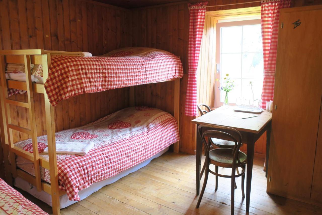 Edelweiss Mountain - 1 Hour Hike Up From Station - On Hiking Trail - No Transport Lodge Zermatt